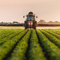 Head-on view of a farm vehicle spraying columns of short green crops. 