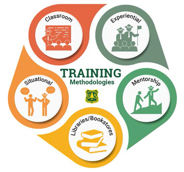 Training methodologies infographic highlighting the several methods of training: classroom, experiential, mentorship, libraries/bookstores, and situational.
